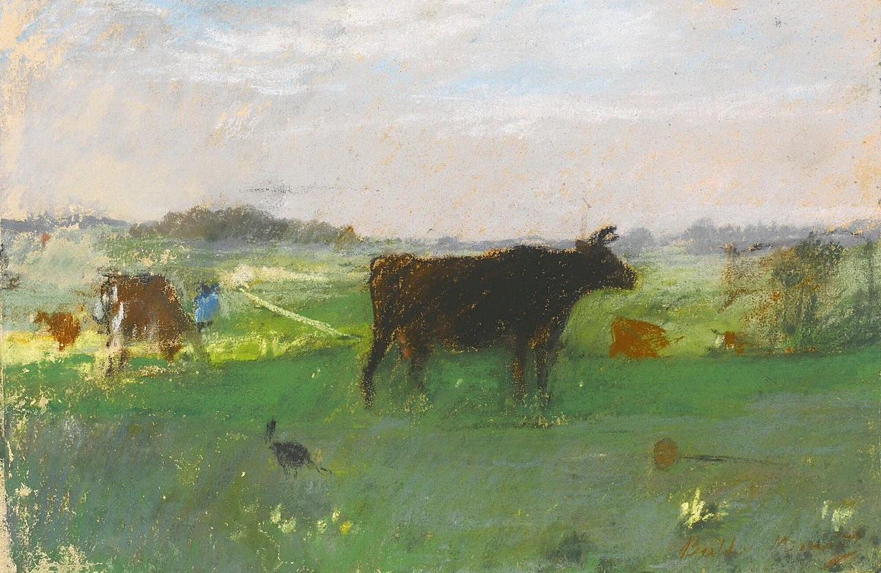 Mucche in Normandia